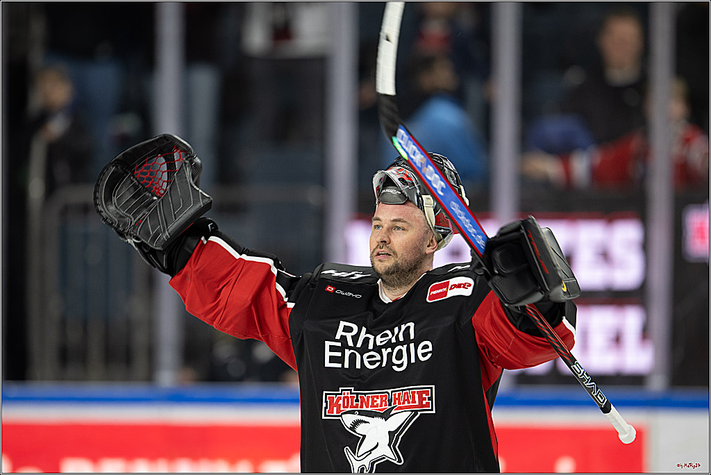 PENNY DEL 1; Kölner Haie - Düsseldorfer EG ; Köln, 16.02.2025